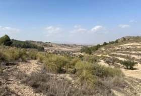 Foto 14