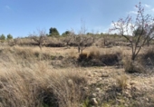 Casa de pueblo en venta en la España, Abanilla, ref: TR300467 foto
