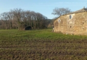 Country house with land for sale on España, Castro de Rei, ref: TR295918 photo