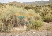 Casa de campo con terreno en venta en la España, Lorca, ref: TR291435 foto