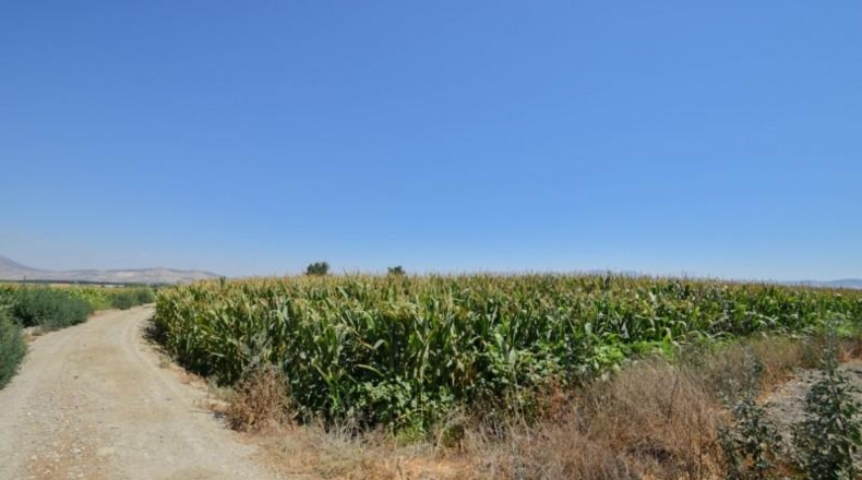 Granada - Belicena - 5742m2