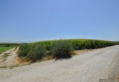 Casa con terreno en venta en la España, Belicena, ref: TR296303 foto