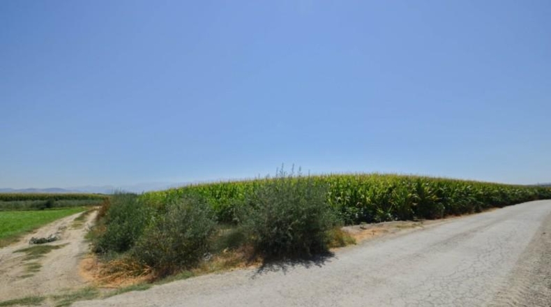 Granada - Belicena - 5742m2