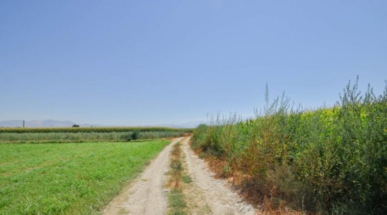 Granada - Belicena - 5742m2