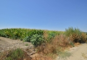 Casa con terreno en venta en la España, Belicena, ref: TR296303 foto