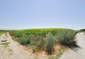 Casa con terreno en venta en la España, Belicena, ref: TR296303 foto