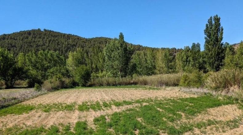 Teruel - Valderrobres - 7922m2