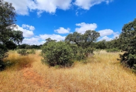 Badajoz 5575&nbsp;m² 