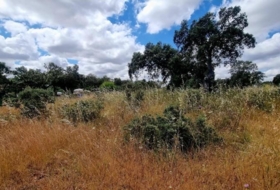 Badajoz 5575&nbsp;m² 