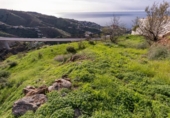 Terreno no urbanizable en venta en la España, Almuñécar, ref: TR181913 foto