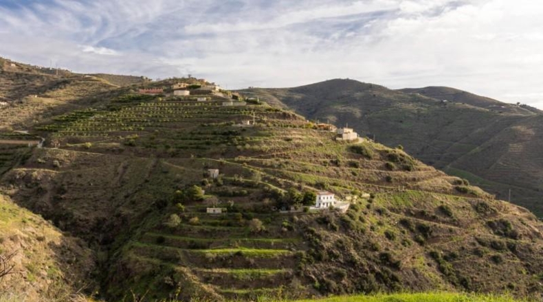 Granada - Ítrabo - 4334m2