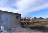 Parcela urbanizable en venta en la España, Ceutí, ref: TR378870 foto