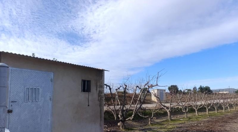 Murcia - Ceutí - 7728m2