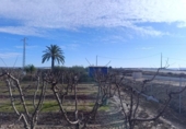 Parcela urbanizable en venta en la España, Ceutí, ref: TR378870 foto