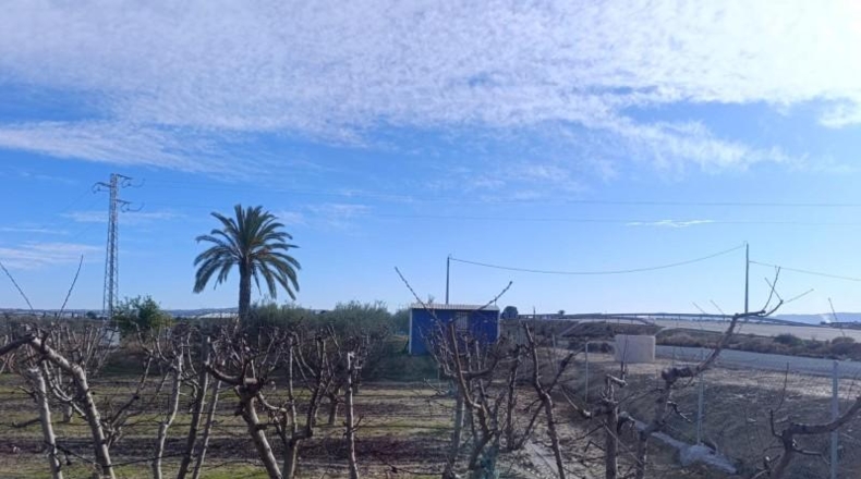 Murcia - Ceutí - 7728m2