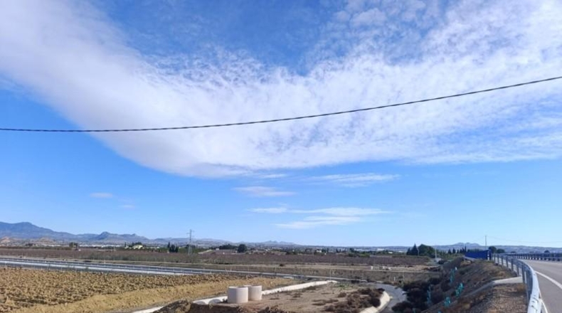 Murcia - Ceutí - 7728m2