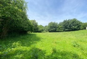 Ribadesella 1276&nbsp;м²
