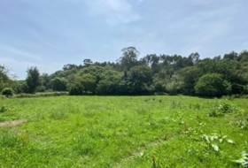 Ribadesella 1276&nbsp;м²