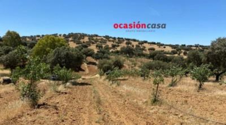 Córdoba - Fuente Obejuna - 43000m2