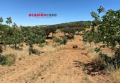 Detached villa with land for sale on España, Fuente Obejuna, ref: TR344594 photo