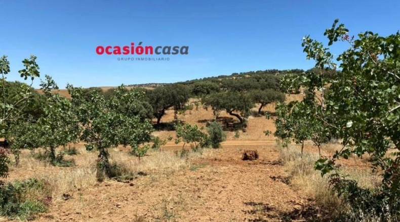 Córdoba - Fuente Obejuna - 43000m2