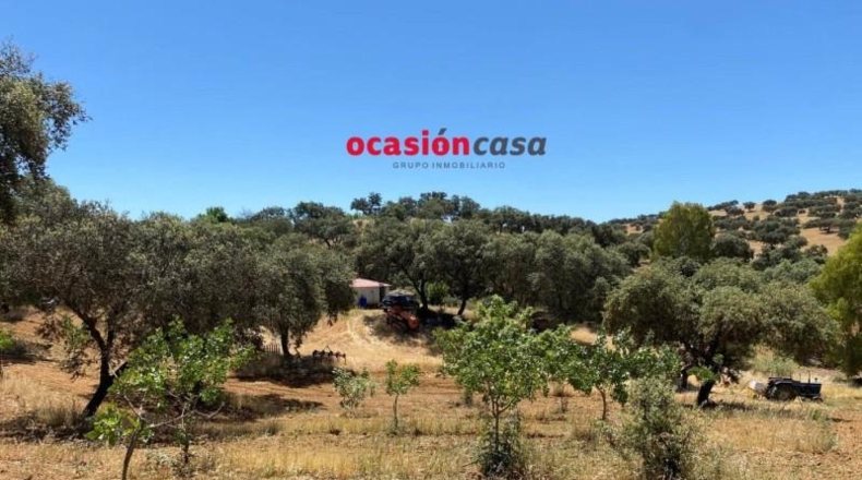 Córdoba - Fuente Obejuna - 43000m2