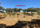 Detached villa with land for sale on España, Fuente Obejuna, ref: TR344594 photo
