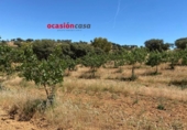 Detached villa with land for sale on España, Fuente Obejuna, ref: TR344594 photo