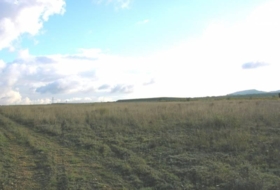Yecla 5000&nbsp;m²