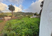 Terreno no urbanizable en venta en la España, Arucas, ref: TR403848 foto
