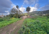 Terreno no urbanizable en venta en la España, Arucas, ref: TR403848 foto
