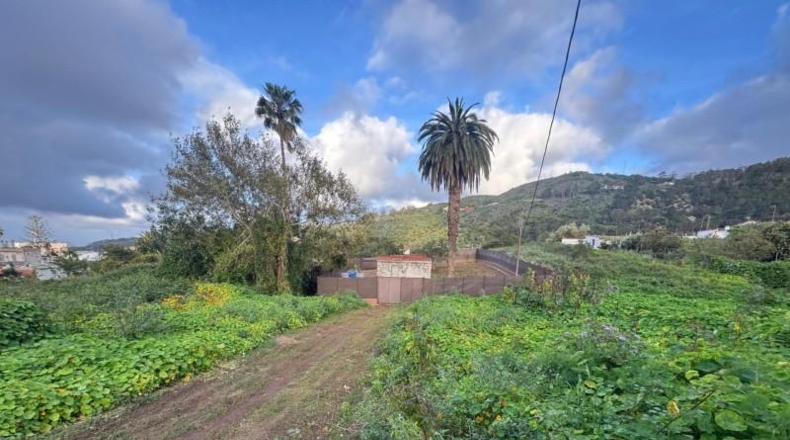Las Palmas - Arucas - 553m2