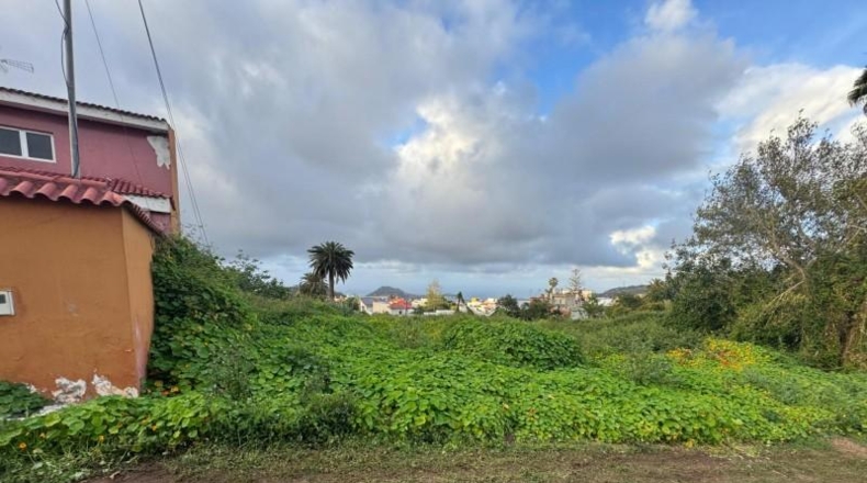 Las Palmas - Arucas - 553m2