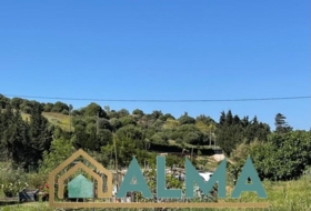 Foto 12