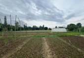 Terreny no urbanitzable en venda a la España, Urroz-Villa, ref.: TR248260 foto