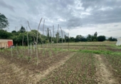 Terreny no urbanitzable en venda a la España, Urroz-Villa, ref.: TR248260 foto