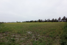 Chipiona 2500&nbsp;m²