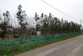 Chipiona 2500&nbsp;m²