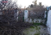 Casa de poble en venda a la España, Pozoblanco, ref.: TR304409 foto