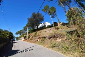 Olivella 984&nbsp;m²