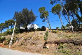 Olivella 984&nbsp;m²