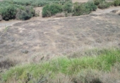 Casa de campo con terreno en venta en la España, Albox, ref: TR395715 foto