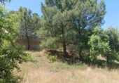 Parcela urbanizable en venta en la España, Ogíjares, ref: TR401608 foto