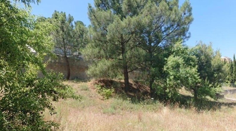 Granada - Ogíjares - 776m2