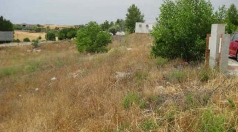 Guadalajara - Tórtola de Henares - 2786m2