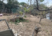 House with land for sale on España, Esparreguera, ref: TR298418 photo