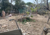 House with land for sale on España, Esparreguera, ref: TR298418 photo