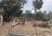 House with land for sale on España, Esparreguera, ref: TR298418 photo