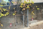 House with land for sale on España, Esparreguera, ref: TR298418 photo