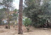 House with land for sale on España, Esparreguera, ref: TR298418 photo